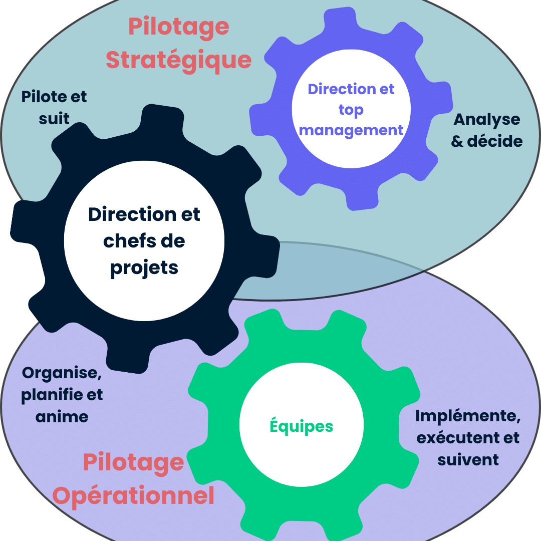 Schema Project Governance