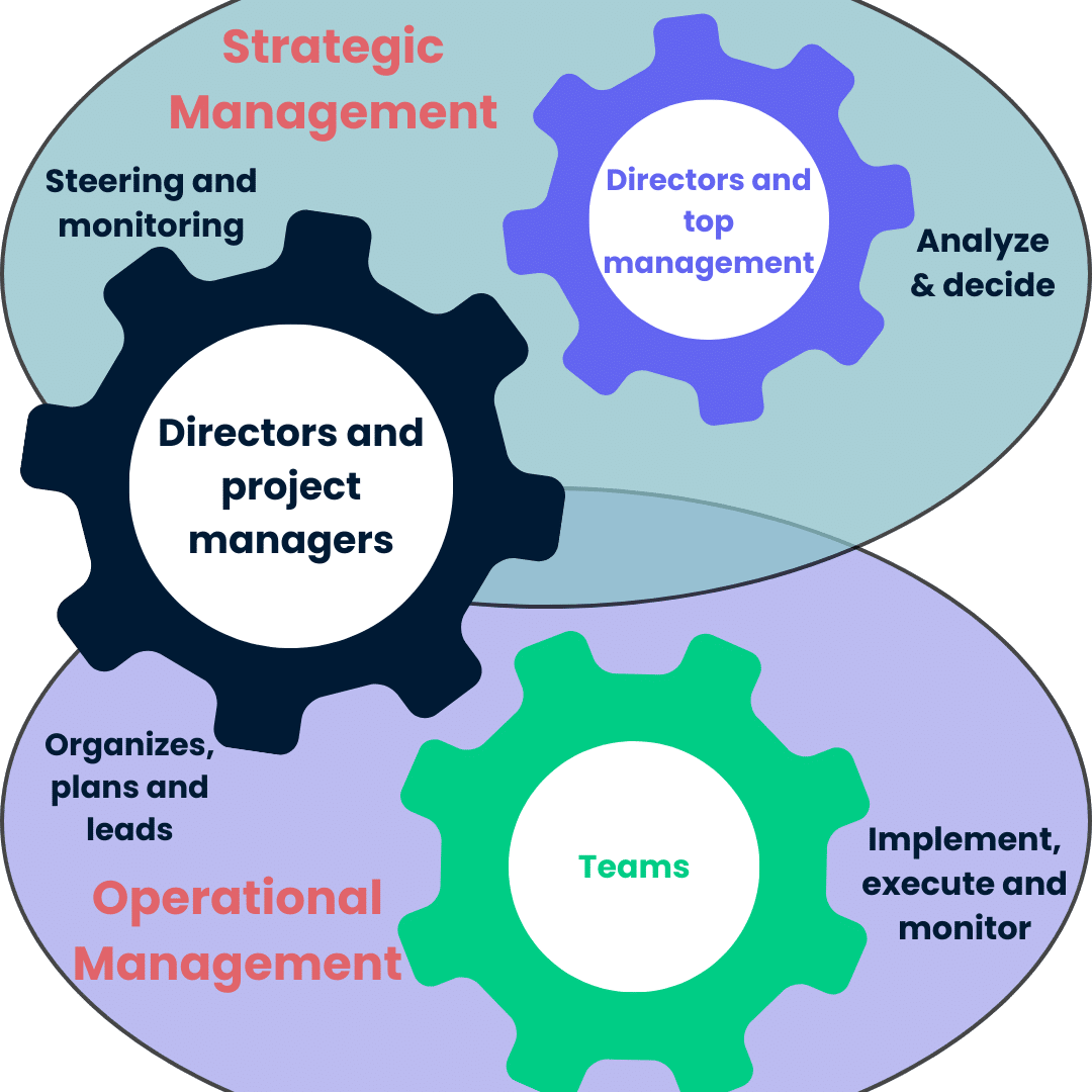 Schema Project Governance