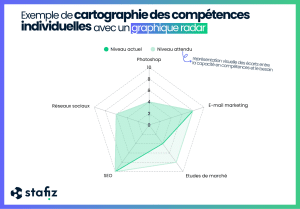 Example of an individual competency matrix