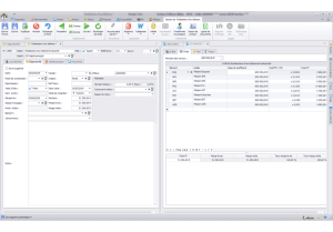 BILOBA Software