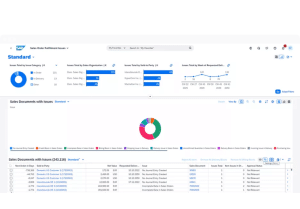SAP Software 