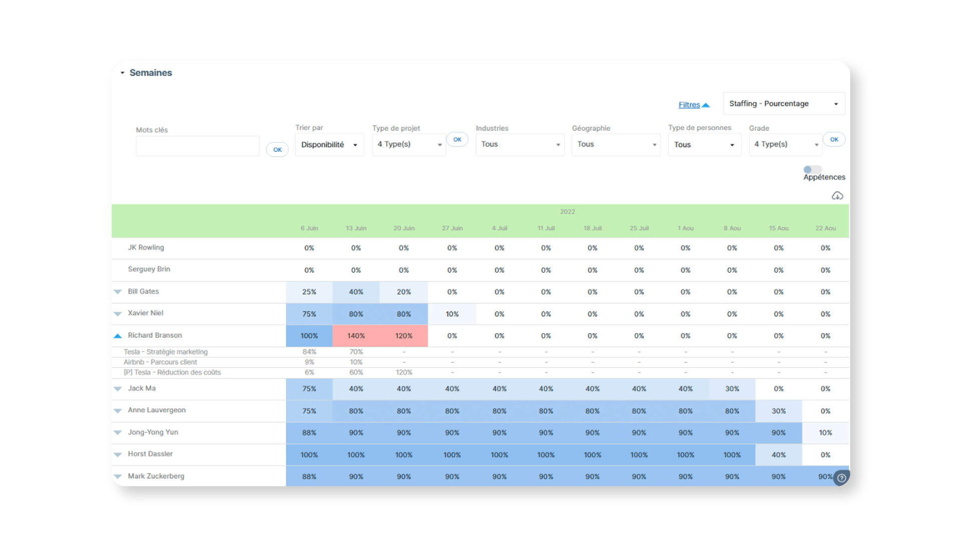 Example of a macro project schedule with milestones and phases (Stafiz view)